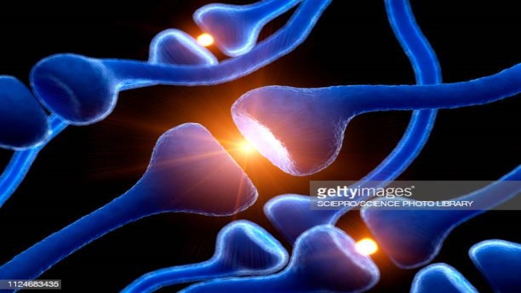 Dopamine: The Reward and Reinforcement Neurotransmitter