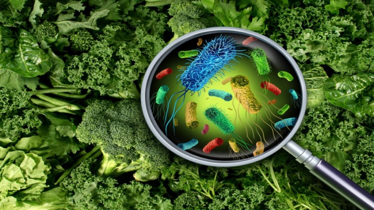 Foodborne Illness: Etiologic Agents and Contaminants