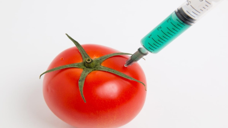 Enzyme Biotechnology in Foods