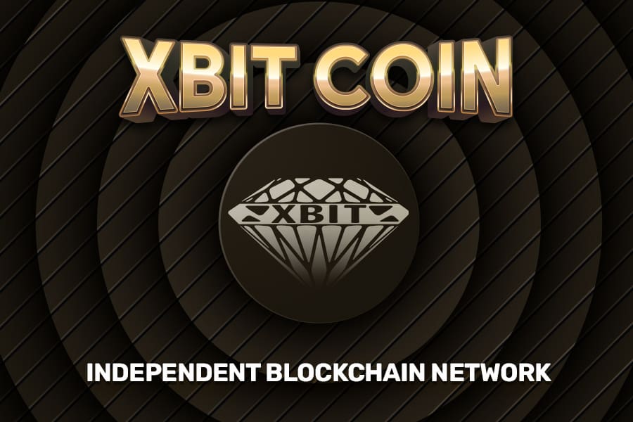 The Xbit Project – A Fruitful Assessment