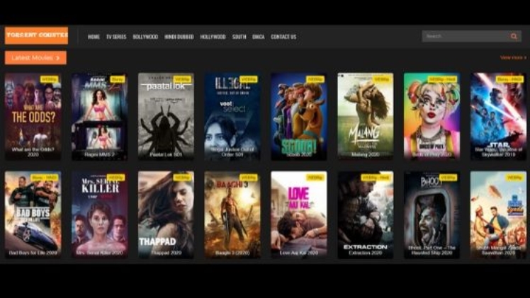 Itorrentzmovie Review