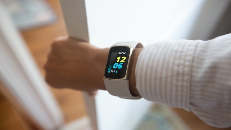 4 Best Shrewd Watches to Set Up Your Wellness Routine