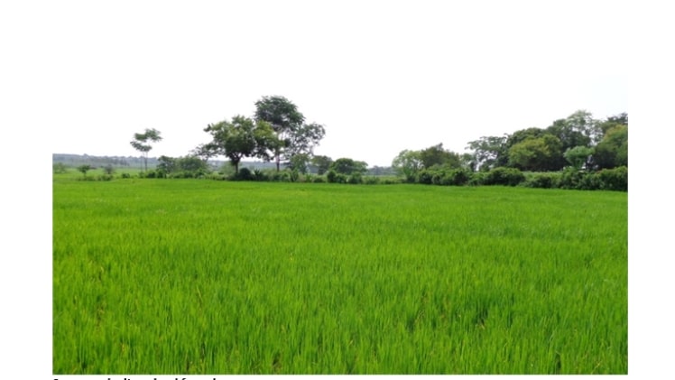 2 acre agriculture land for sale