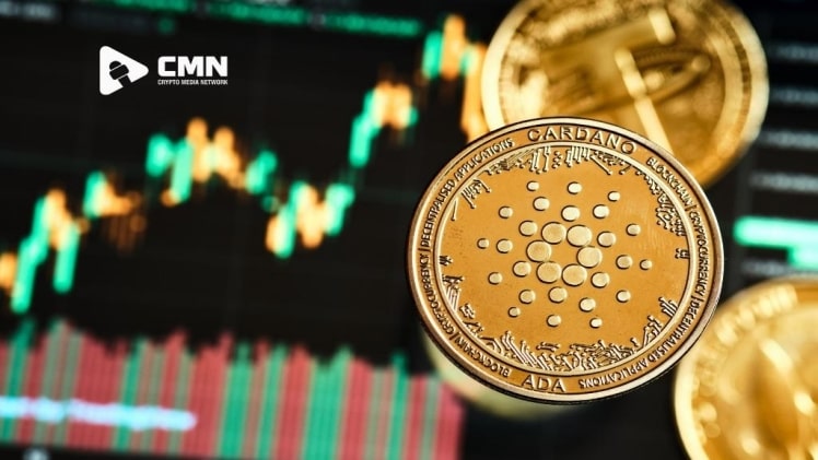 What are the Benefits of Cordano