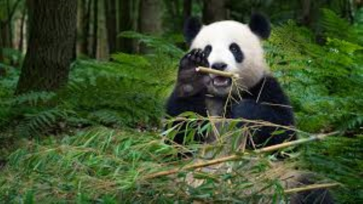 You Must Check The Oanda Review Before Involing Trading