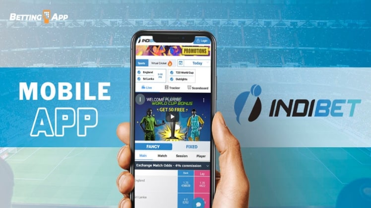 IviBet App Features and Pricing