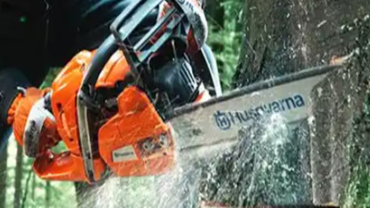 Best ways how to properly maintain your power saw machine to last longer
