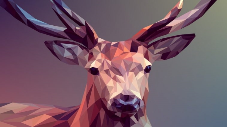 Graphic Design Courses Online