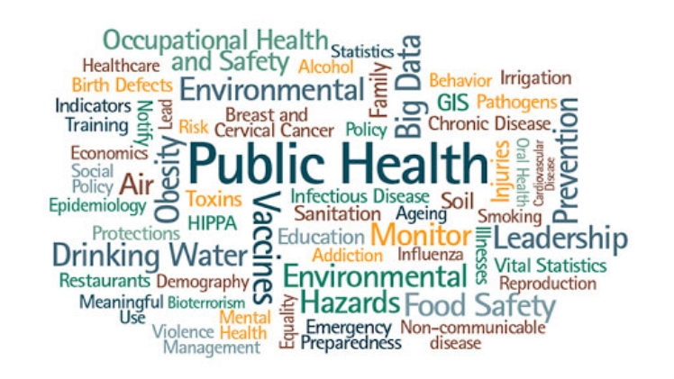 Roles of Governments in the Health Care System