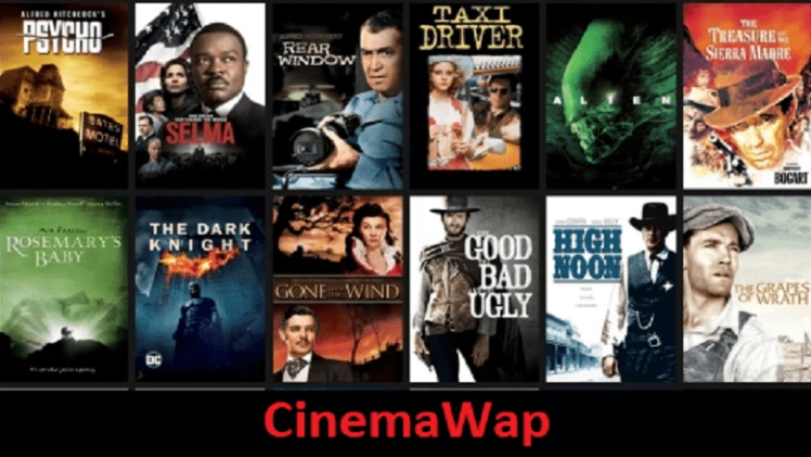 CineWap Review – How to Access the Movie Archive at CineWap