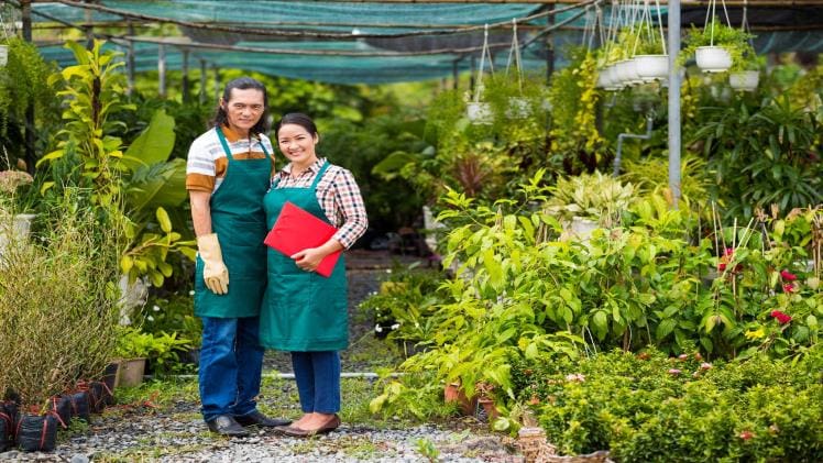 Choosing a Plant Nursery Near Me