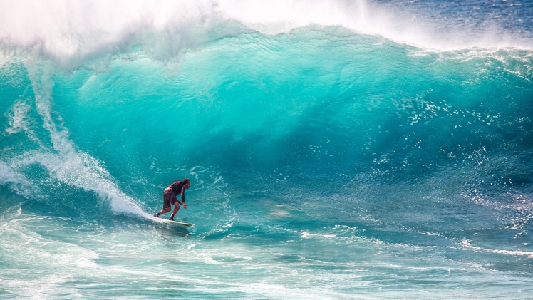 Surfing Through the Most Promising & Stable Career Options