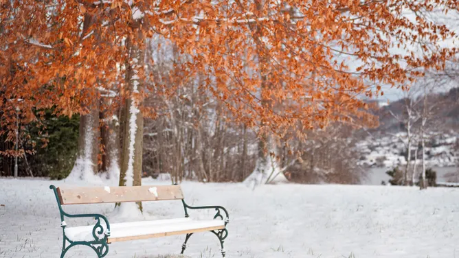 The First Snow of the Year