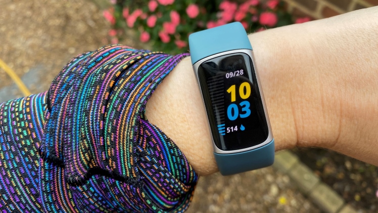 The most sophisticated fitness and health wearables
