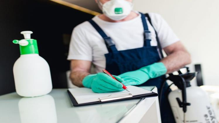 Bed Bug and Pest Control Penrith