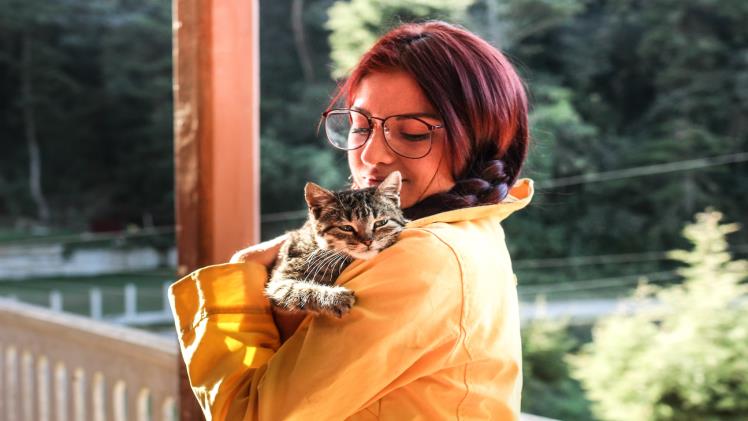 Top Important Medications to Have in Your Cat’s First Aid Box at Home