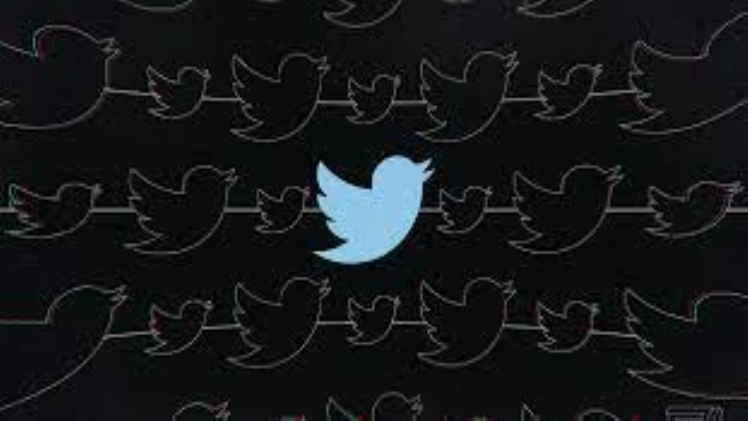 Twitter Alt Marchlyons Theverge