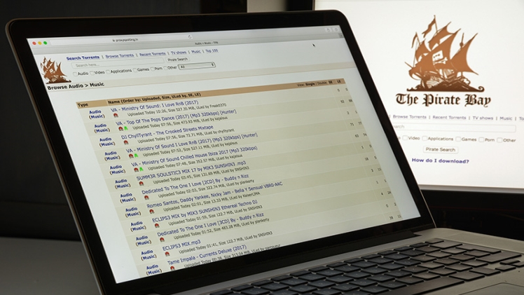 Torrent websites with the largest number of peers